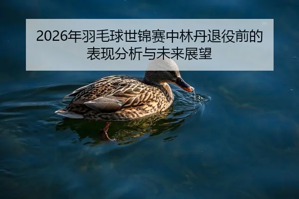 2026年羽毛球世锦赛中林丹退役前的表现分析与未来展望