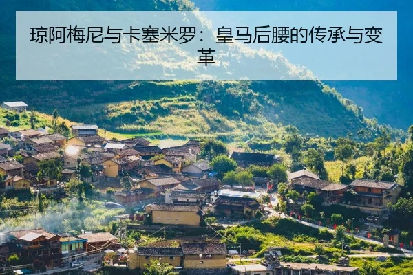 琼阿梅尼与卡塞米罗：皇马后腰的传承与变革