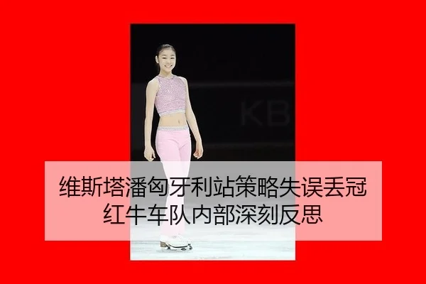wei-si-ta-pan-xiong-ya-li-zhan-ce-lve-shi-wu-diu-guan-hong-niu-che-dui-nei-bu-shen-ke-fan-si-3-816.jpg