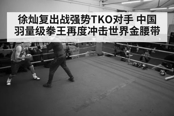 boxer training gym